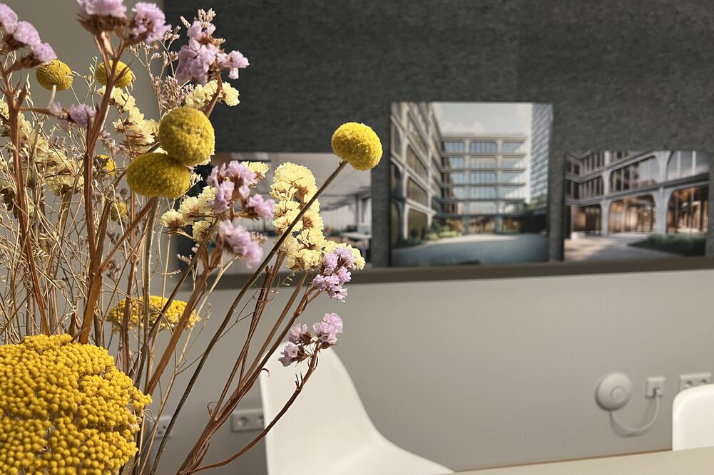 Happy Birthday DRIESSEN ARCHITEKTEN